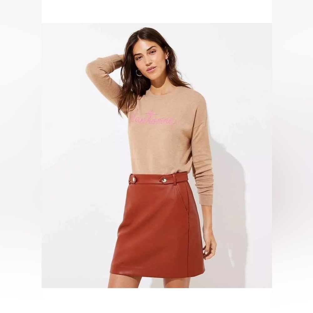 LOFT Womens Cognac Brown Vegan Faux Leather Mini Skirt Size 4